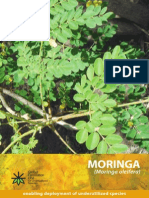 Species Brochure-Moringa Moringa Oleifera