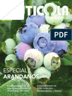 Especial Arandanos 2012 Diciembre