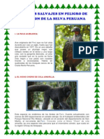 Animales Salvajes en Peligro de Extincion de La Selva Peruana