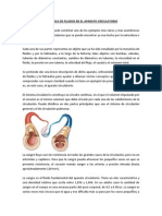 Sistema Circulatorio