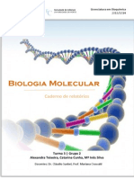 Caderno Biomol PDF