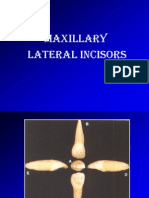 Maxillary & Mandibular Lateral Incisor