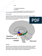 El Sistema Nervioso Emocional