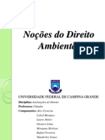 Trabalho - Noções Do Direito Ambiental