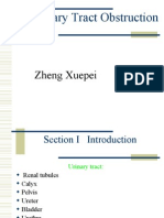 Urinary Tract Obstruction: Zheng Xuepei MD