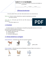 Ficha Informativa Classificacao Animais 5º Ano