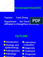 Glomerulonephritis