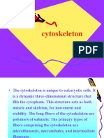 Cytoskeleton