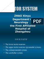 Motor System: ZHAO Xinyu Department of Neurology The First Affiliated Hospital of Zhengzhou University