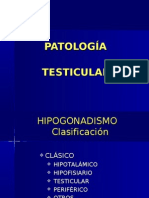 Patologia Testicular