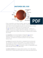 Anatomia Del Ojo