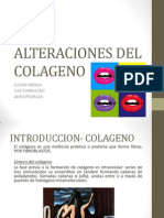 Alteraciones Del Colageno