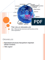 Cell Structures and Functions 02