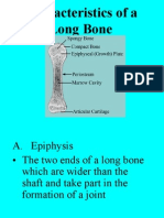 Characteristics of A Long Bone 2009 Revise