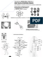 Autodefensa Psiquica 5 Horas Modificado Cientifico