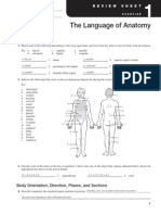 Exercise 1 Language of Anatomy