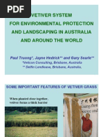 Vetiver System For Environmental Protection and Landscaping in Australia and Around The World