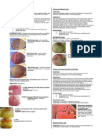 Microbiology Reviewer