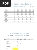 Little Heroes Foundation: Operating Budget 2010