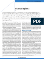 Epigenetic Inheritance in Plants