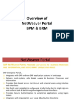 Sap Portal BPM and BRM