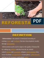 Presentation1ss Reforestation