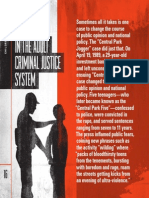 Youth in Adult Criminal Justice System