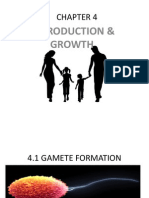 4.1 Gamete Formation