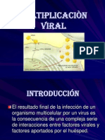 Multiplicacion Viral