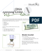 DNA Extraction