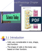 Anatomy and Physiology Chapter 3