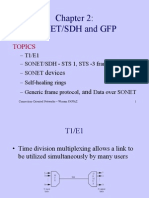 Sonet/Sdh and GFP: Topics