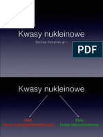 Kwasy Nukleinowe PDF