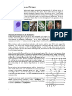 Lab 05 Macroevolution