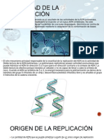 Fidelidad de La Replicación