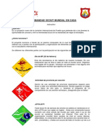 Instructivo Insignia Internacional PDF