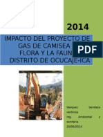 Proyecto Del Impacto Del Proyecto Gas de Camisea