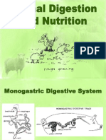 Animal Digestion and Nutrition