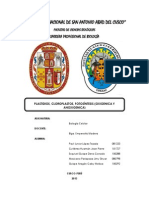 Plastos, Cloroplastos, Fotosintesis Oxigenica y Anoxigenica