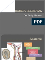 Trauma Escrotal 2003