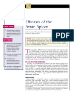 AVIAN - Diseases of The Avian Spleen