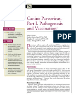 CANINE-Canine Parvovirus - Part 1.pathogenesis and Vaccination