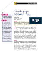 CANINE-Cricopharyngeal Achalasia in Dogs