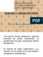 1huevos y Larvas de Peces PDF