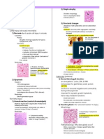 MBB2 Neurology