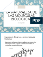 Moleculas Biologicas