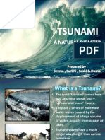  Tsunami