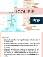 Glucolisis