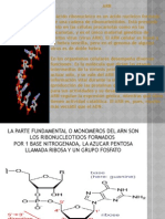 Presentación Tipos de Arn