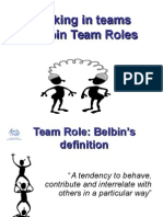 Belbin Team Roles